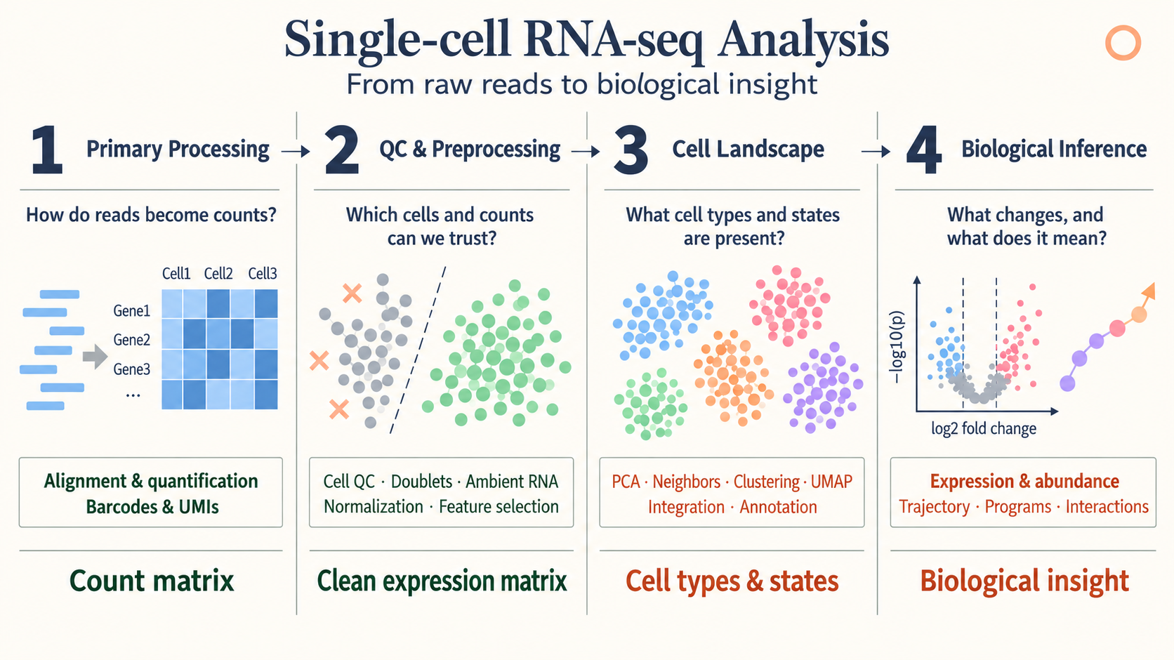 Overview of the four stages of single-cell RNA-seq analysis